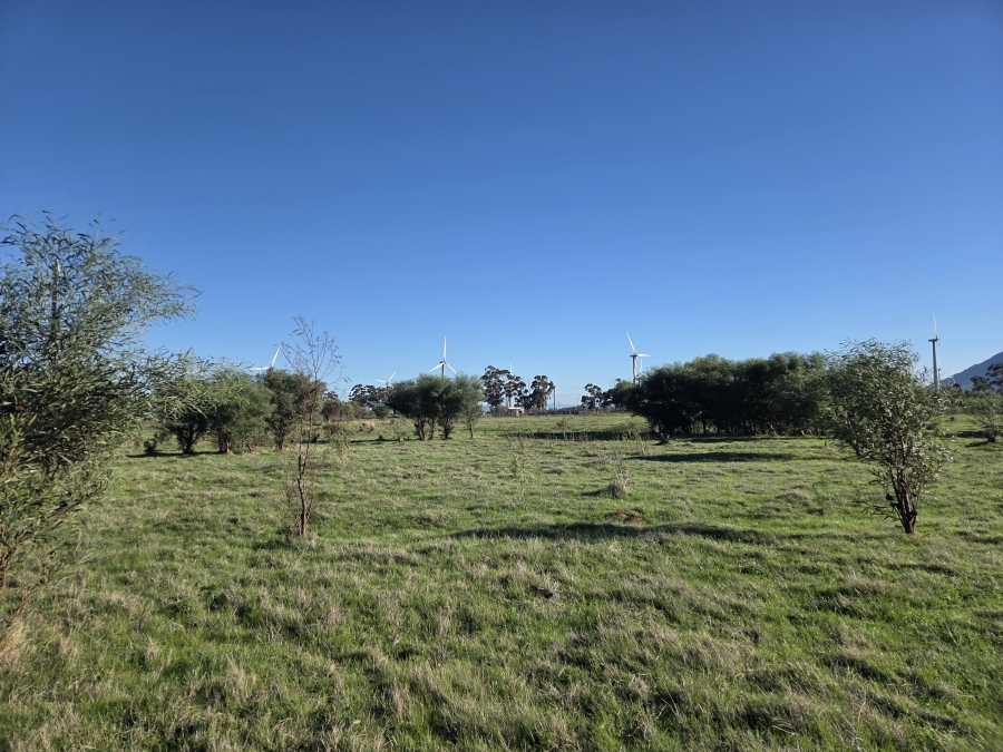 0 Bedroom Property for Sale in Gouda Western Cape